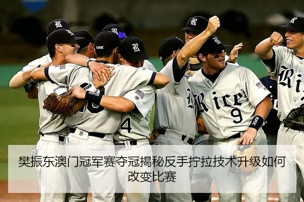 樊振东澳门冠军赛夺冠揭秘反手拧拉技术升级如何改变比赛
